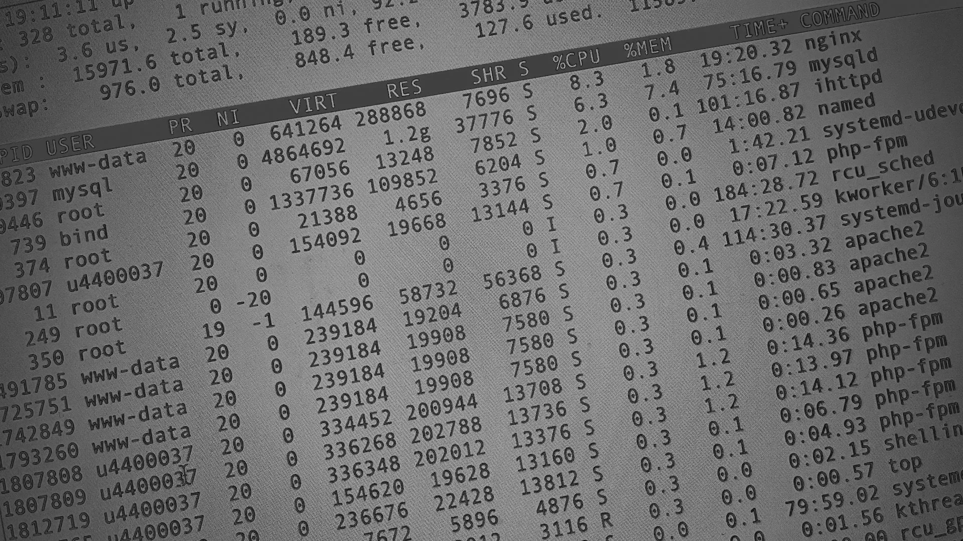 Настройка сервера в Туле Настройка сервера в Туле