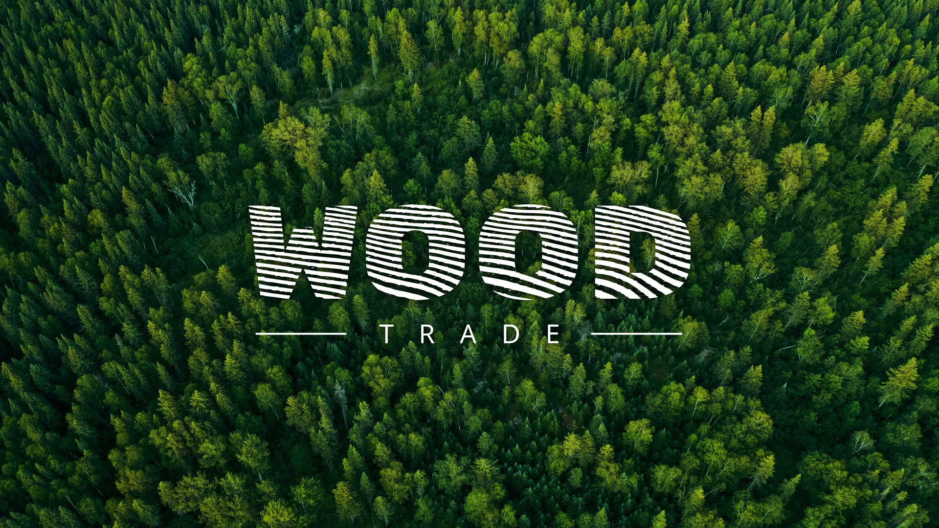 Разработка интернет-магазина компании «Wood Trade» в Туле